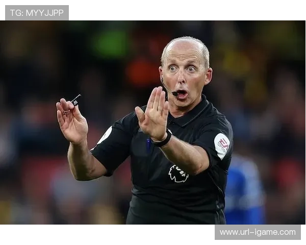 英超裁判执法数据公开，透明度提升获好评