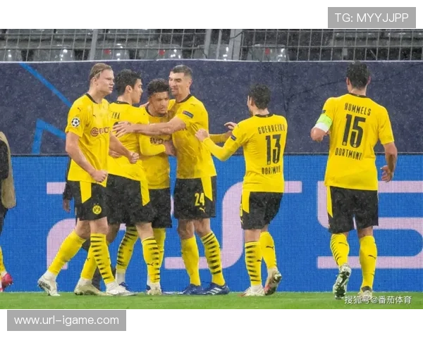 拜仁慕尼黑vs多特蒙德德国国家德比：榜首对决将极大影响冠军归属