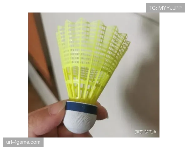 可持续性浪潮:探访使用100%回收塑料制造羽毛球的工厂